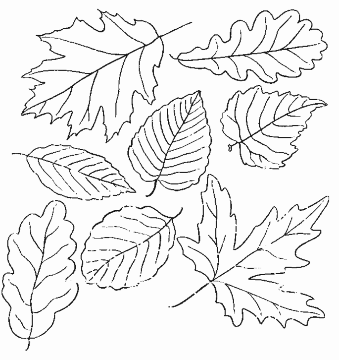 着色页: 秋季 (自然) #164052 - 免费可打印着色页