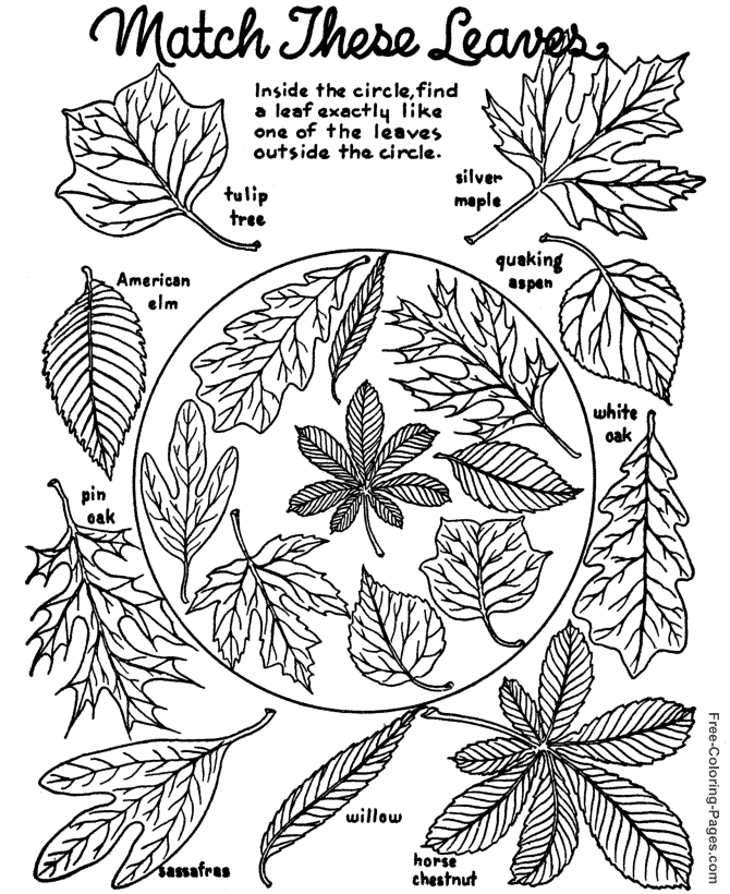着色页: 秋季 (自然) #164089 - 免费可打印着色页