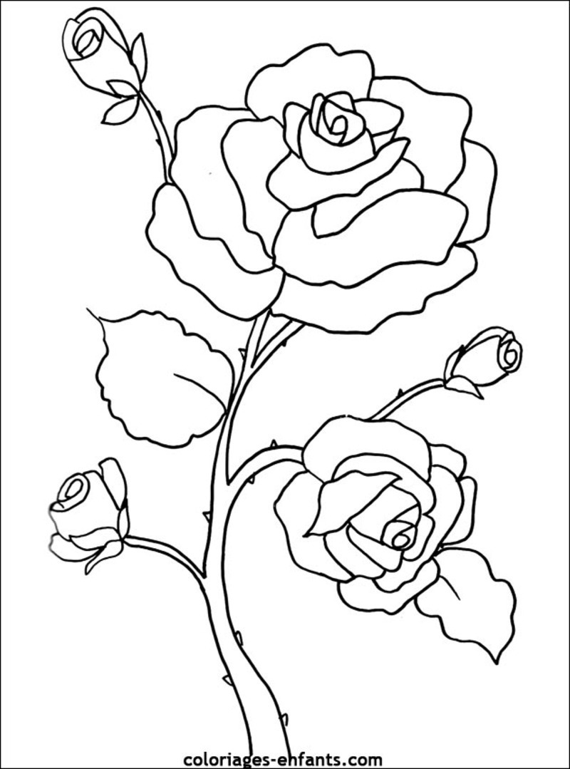 着色页: 花卉 (自然) #154967 - 免费可打印着色页