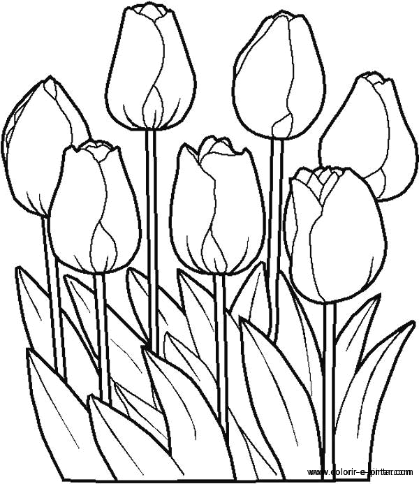 着色页: 花卉 (自然) #154985 - 免费可打印着色页