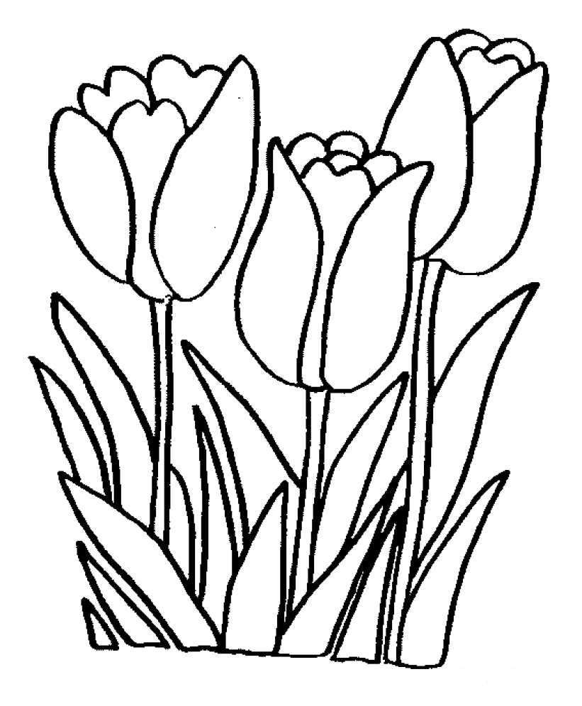 着色页: 花卉 (自然) #154991 - 免费可打印着色页