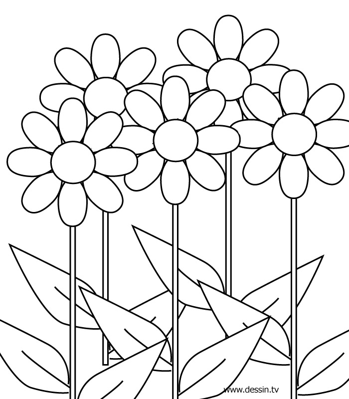着色页: 花卉 (自然) #154997 - 免费可打印着色页