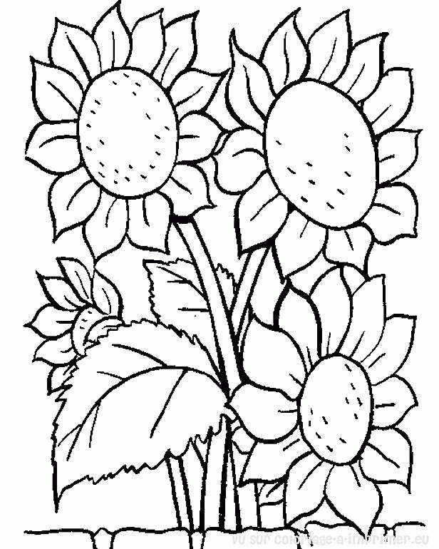 着色页: 花卉 (自然) #155000 - 免费可打印着色页