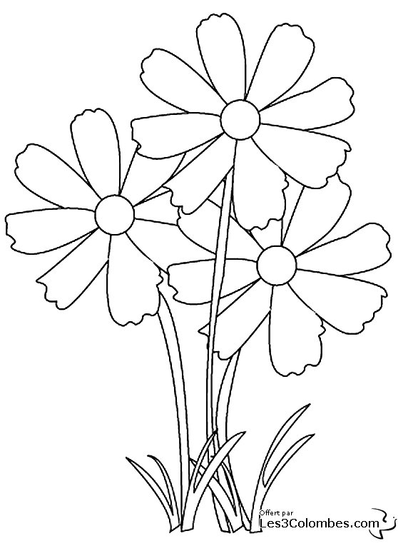 着色页: 花卉 (自然) #155003 - 免费可打印着色页