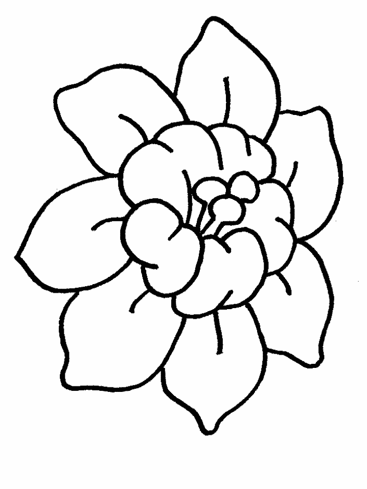 着色页: 花卉 (自然) #155010 - 免费可打印着色页