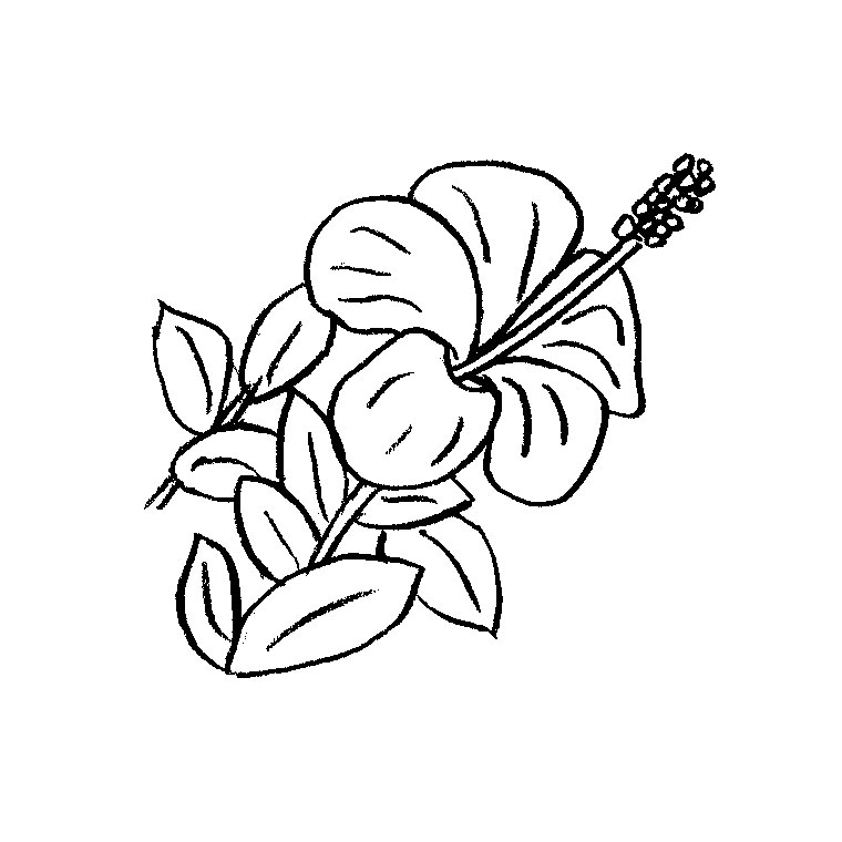 着色页: 花卉 (自然) #155014 - 免费可打印着色页