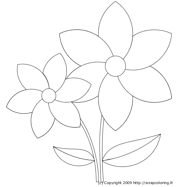 着色页: 花卉 (自然) #155040 - 免费可打印着色页