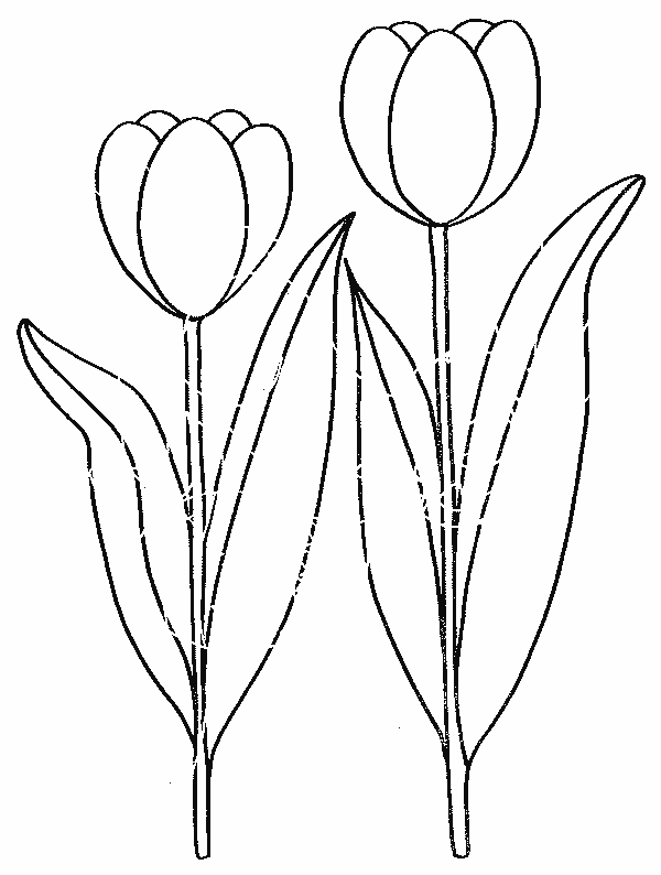 着色页: 花卉 (自然) #155080 - 免费可打印着色页