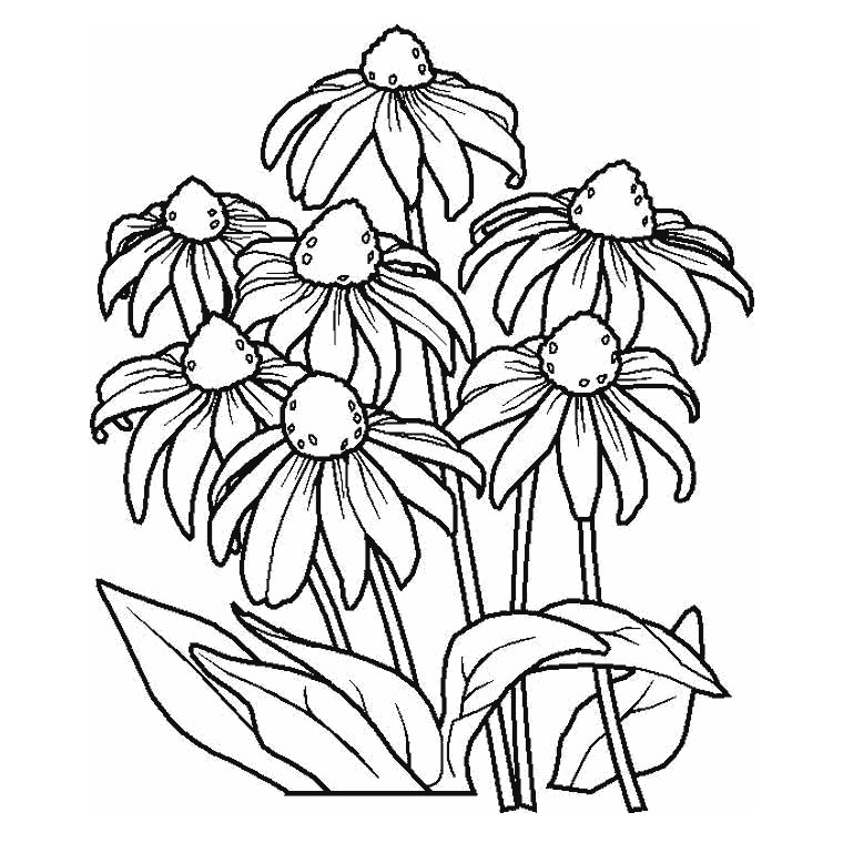 着色页: 花卉 (自然) #155142 - 免费可打印着色页