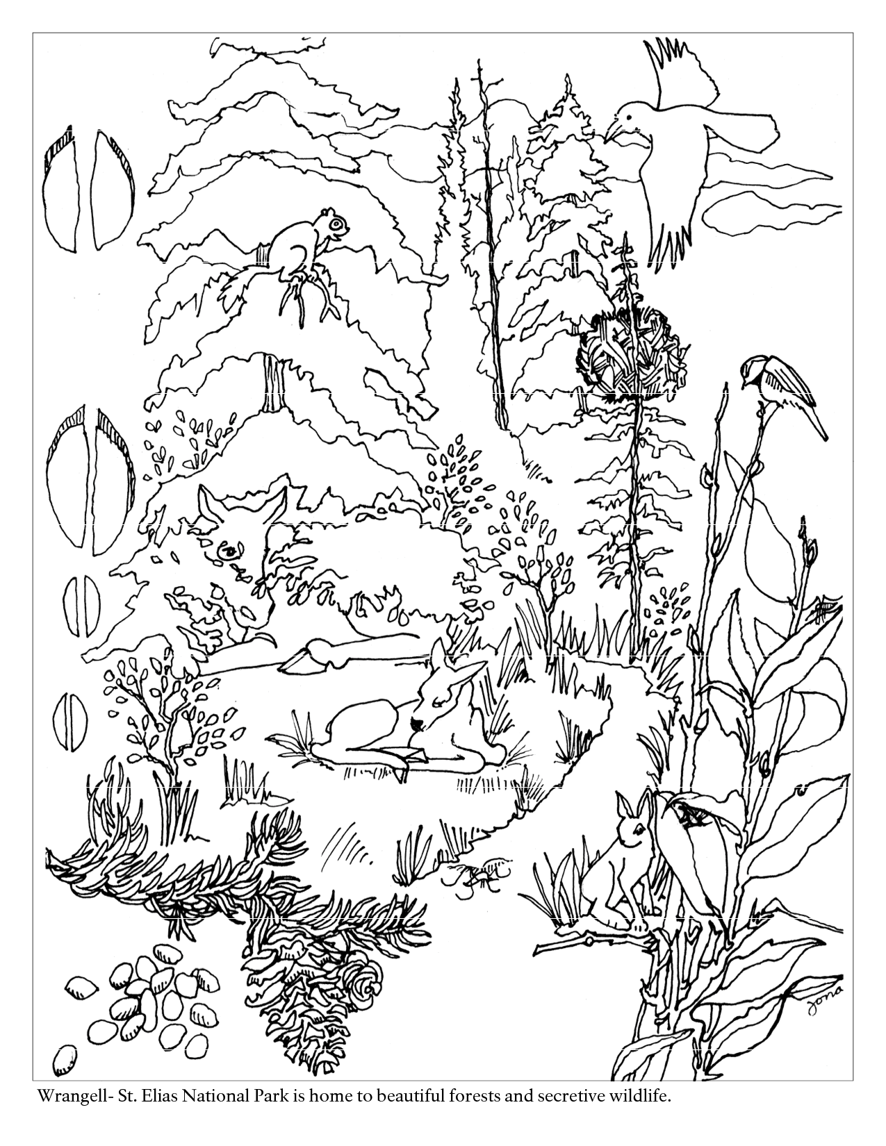 着色页: 森林 (自然) #157007 - 免费可打印着色页
