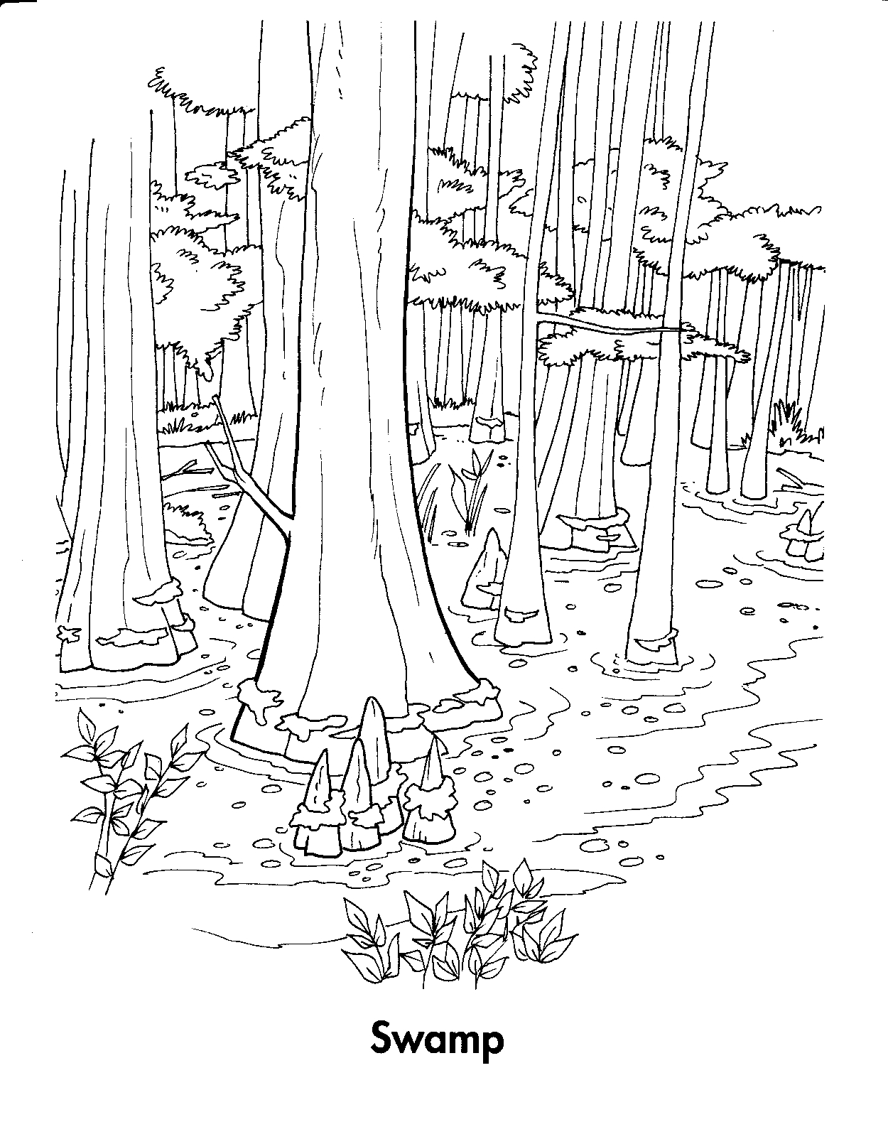 着色页: 森林 (自然) #157057 - 免费可打印着色页