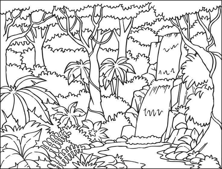 着色页: 森林 (自然) #157061 - 免费可打印着色页