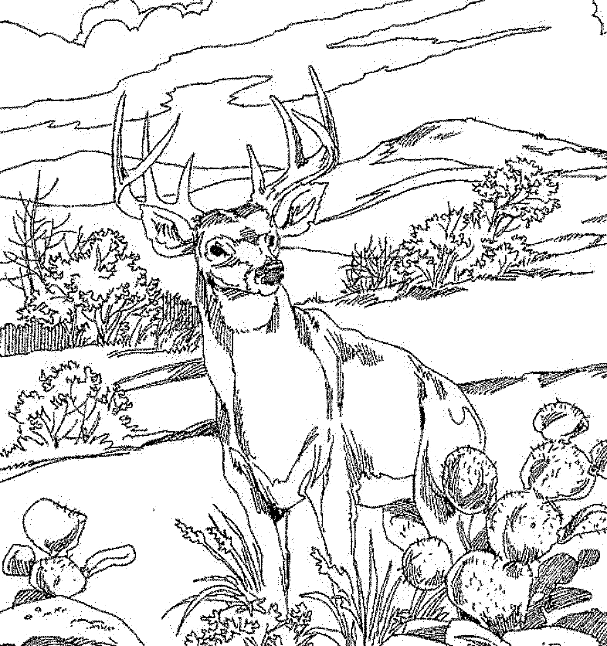 着色页: 森林 (自然) #157212 - 免费可打印着色页