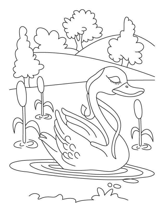 着色页: 湖 (自然) #166076 - 免费可打印着色页