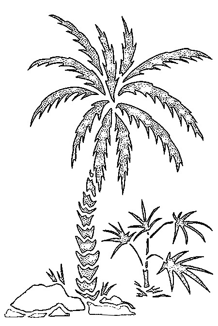 着色页: 棕榈 (自然) #161123 - 免费可打印着色页