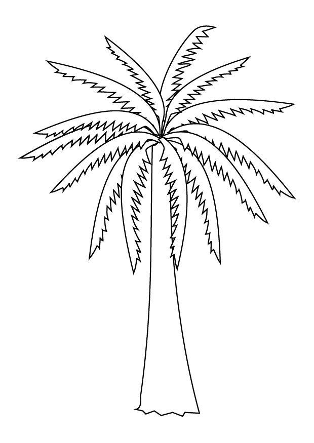 着色页: 棕榈 (自然) #161137 - 免费可打印着色页