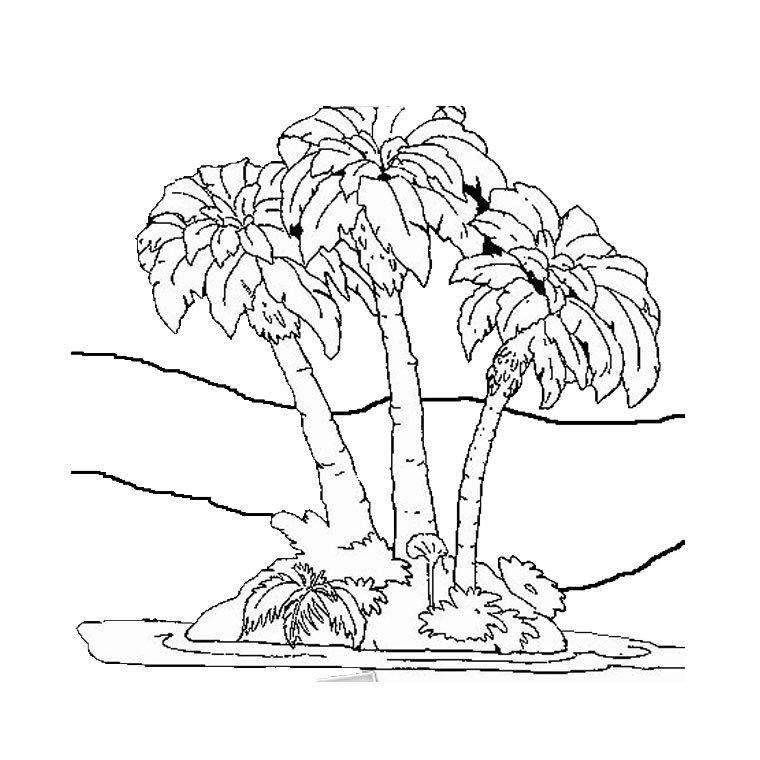 着色页: 棕榈 (自然) #161153 - 免费可打印着色页