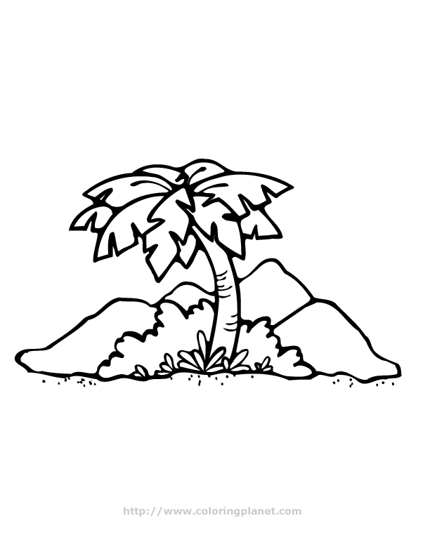 着色页: 棕榈 (自然) #161169 - 免费可打印着色页