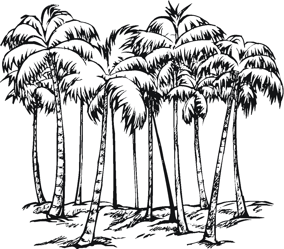 着色页: 棕榈 (自然) #161177 - 免费可打印着色页