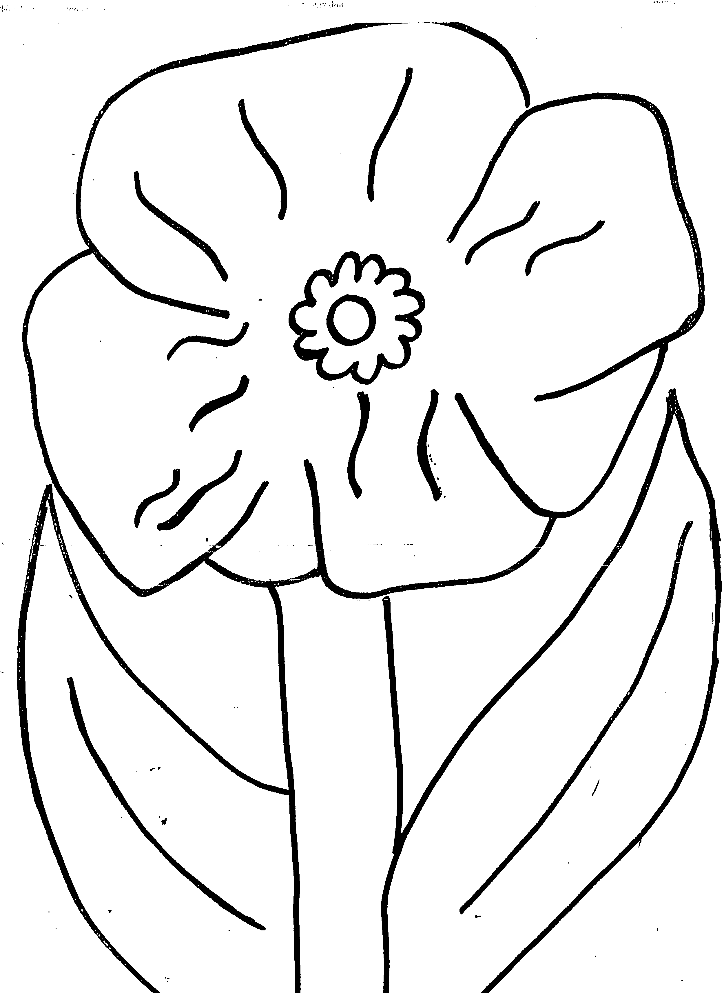 着色页: 罂粟 (自然) #162455 - 免费可打印着色页