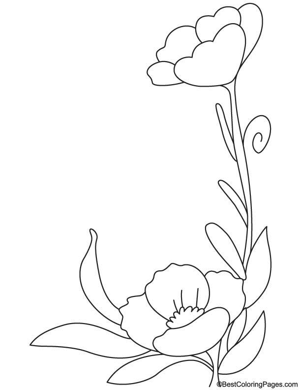 着色页: 罂粟 (自然) #162497 - 免费可打印着色页