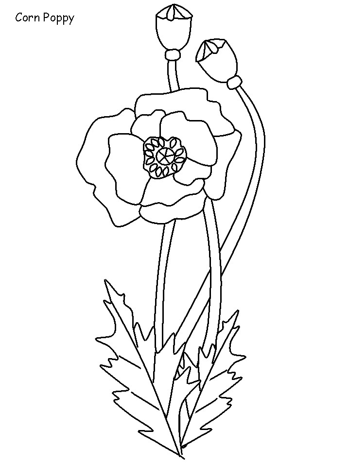 着色页: 罂粟 (自然) #162548 - 免费可打印着色页