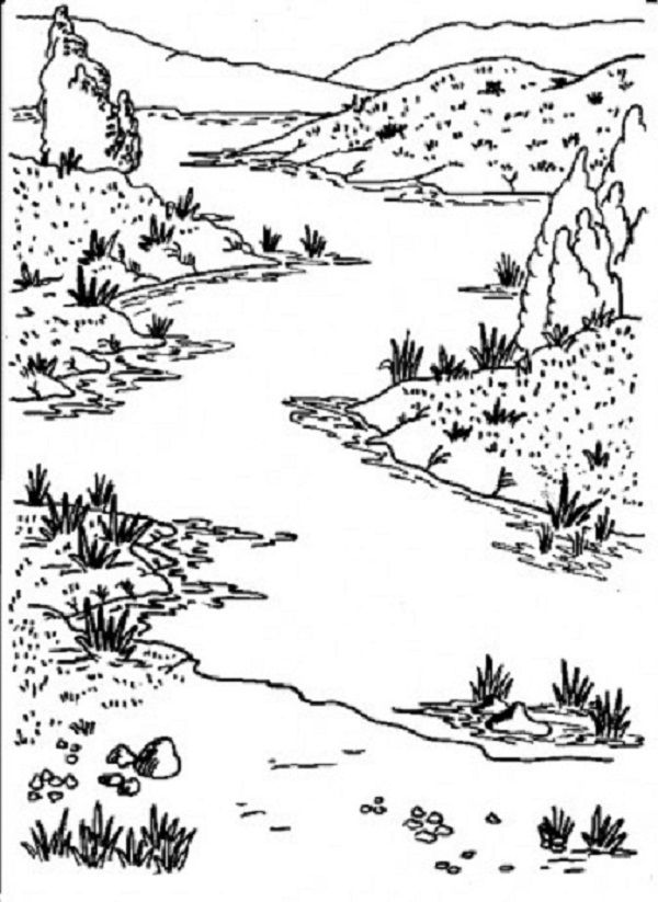 着色页: 河 (自然) #159302 - 免费可打印着色页