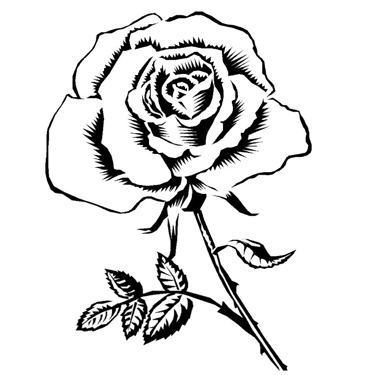 着色页: 玫瑰 (自然) #161863 - 免费可打印着色页