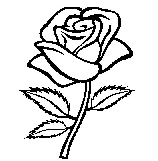 着色页: 玫瑰 (自然) #161865 - 免费可打印着色页