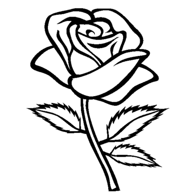 着色页: 玫瑰 (自然) #161866 - 免费可打印着色页