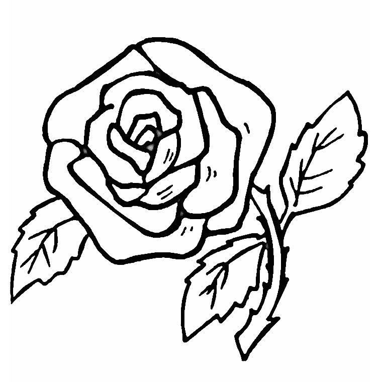 着色页: 玫瑰 (自然) #161870 - 免费可打印着色页