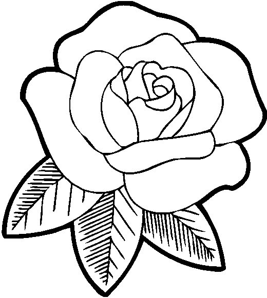 着色页: 玫瑰 (自然) #161871 - 免费可打印着色页