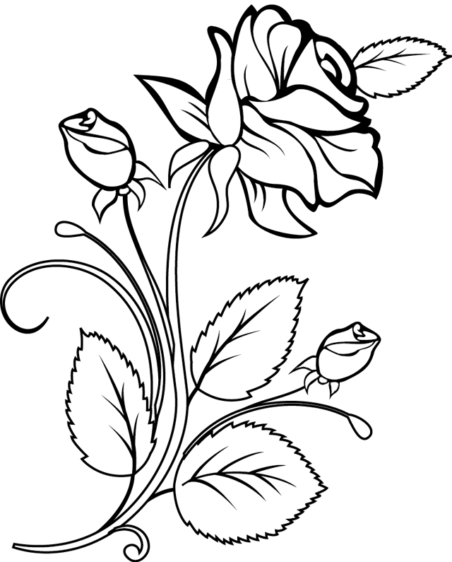 着色页: 玫瑰 (自然) #161874 - 免费可打印着色页