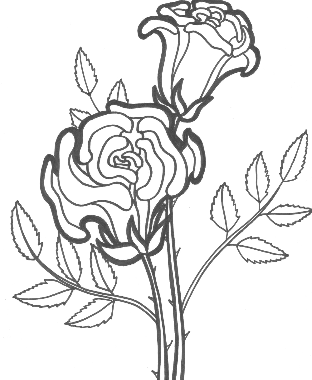 着色页: 玫瑰 (自然) #161879 - 免费可打印着色页