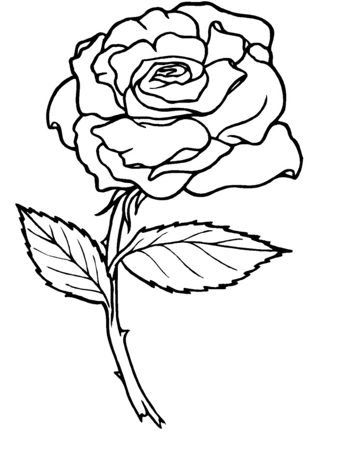 着色页: 玫瑰 (自然) #161884 - 免费可打印着色页