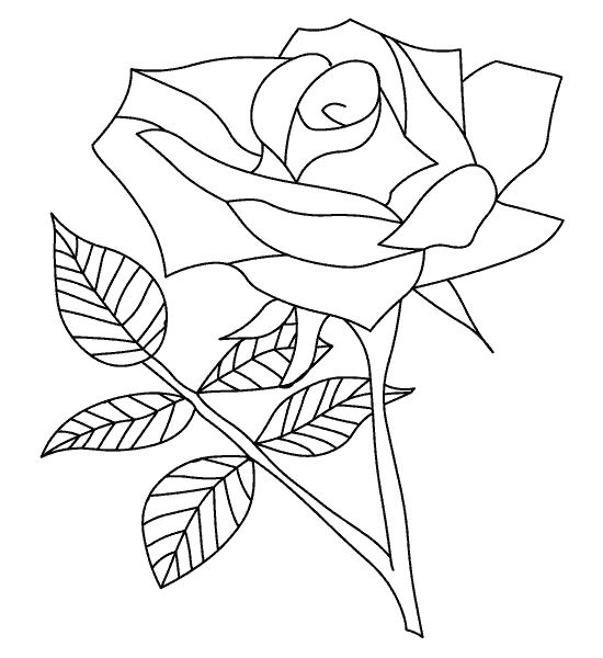 着色页: 玫瑰 (自然) #161894 - 免费可打印着色页