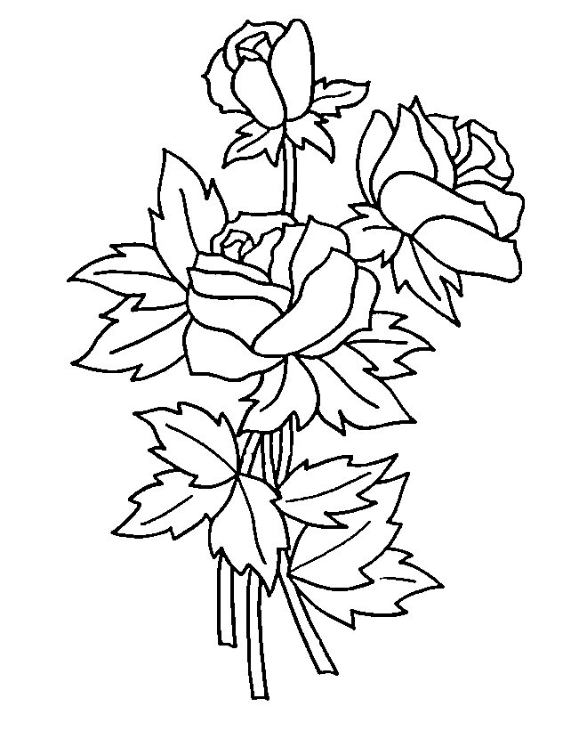 着色页: 玫瑰 (自然) #161895 - 免费可打印着色页