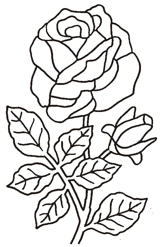 着色页: 玫瑰 (自然) #161899 - 免费可打印着色页