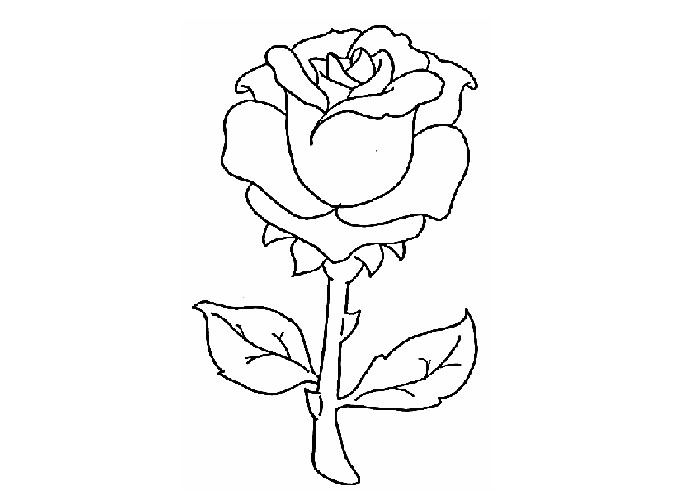 着色页: 玫瑰 (自然) #161907 - 免费可打印着色页