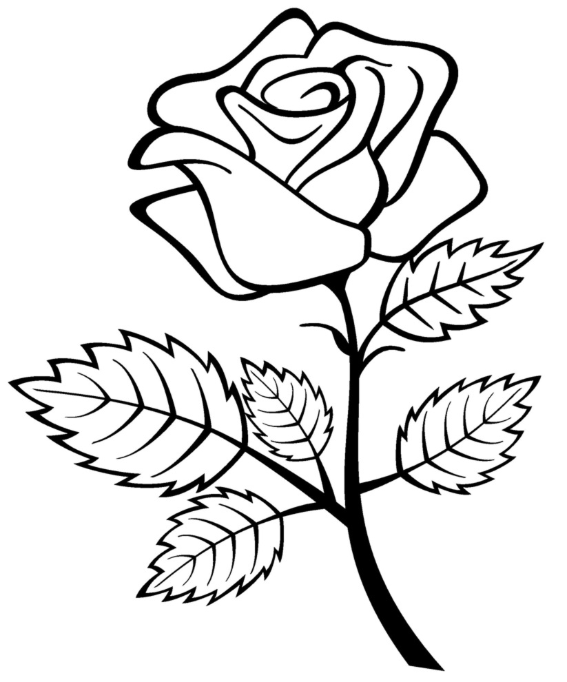 着色页: 玫瑰 (自然) #161909 - 免费可打印着色页