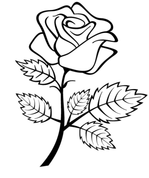着色页: 玫瑰 (自然) #161936 - 免费可打印着色页