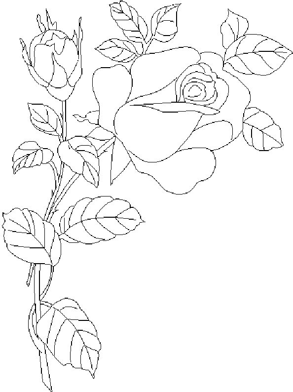 着色页: 玫瑰 (自然) #161949 - 免费可打印着色页