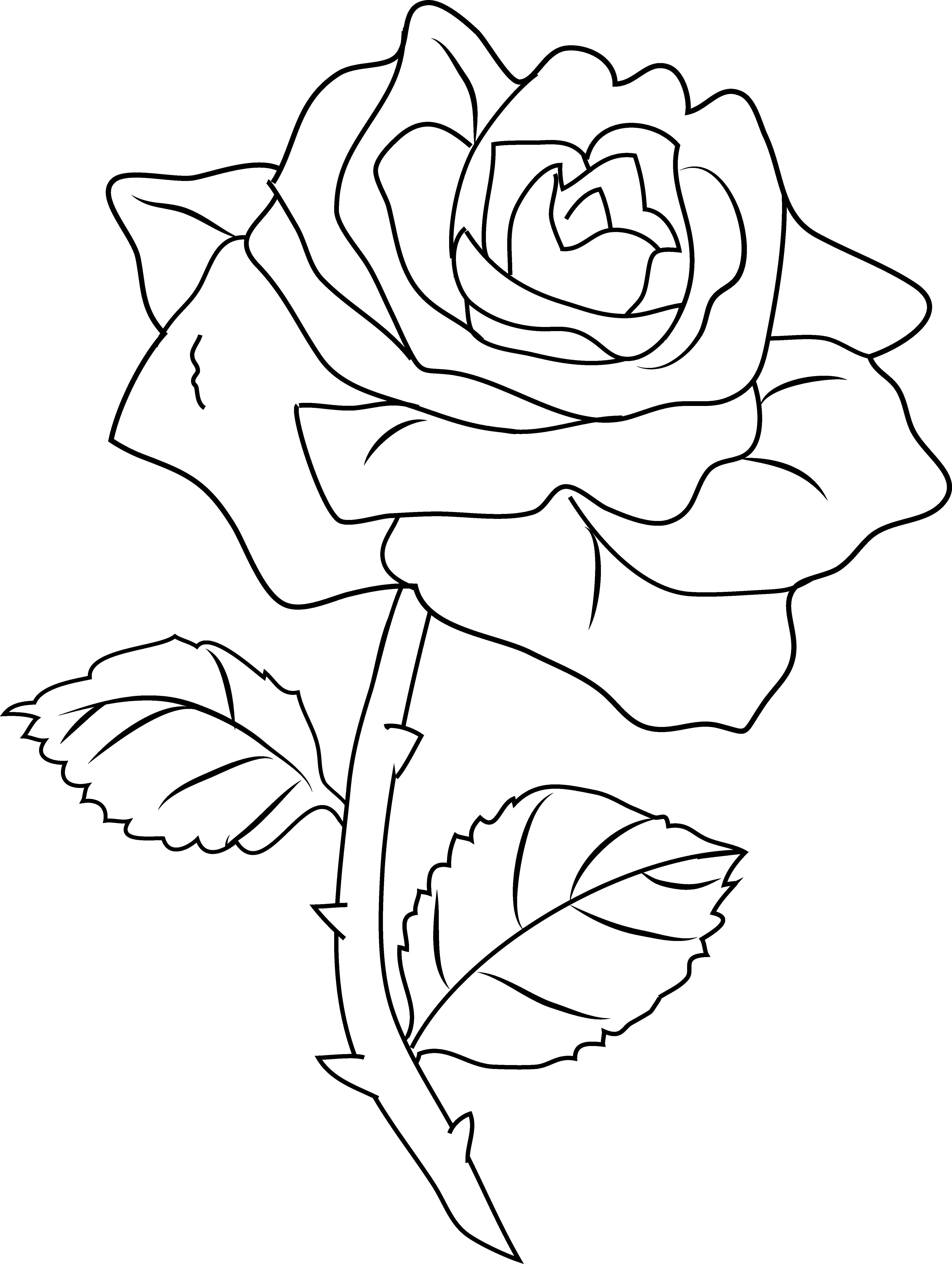 着色页: 玫瑰 (自然) #161971 - 免费可打印着色页