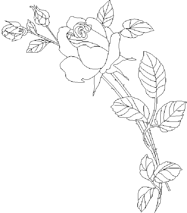 着色页: 玫瑰 (自然) #161974 - 免费可打印着色页