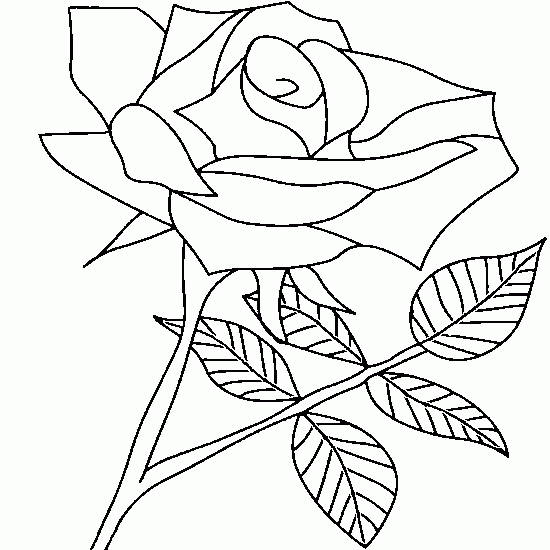 着色页: 玫瑰 (自然) #161982 - 免费可打印着色页