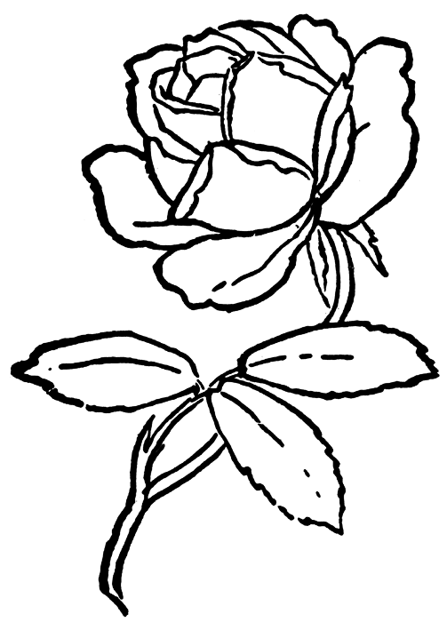 着色页: 玫瑰 (自然) #161989 - 免费可打印着色页