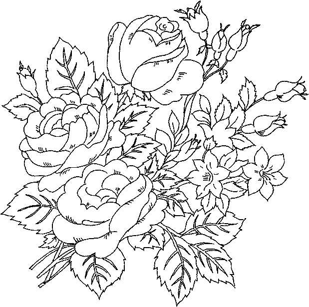 着色页: 玫瑰 (自然) #162035 - 免费可打印着色页