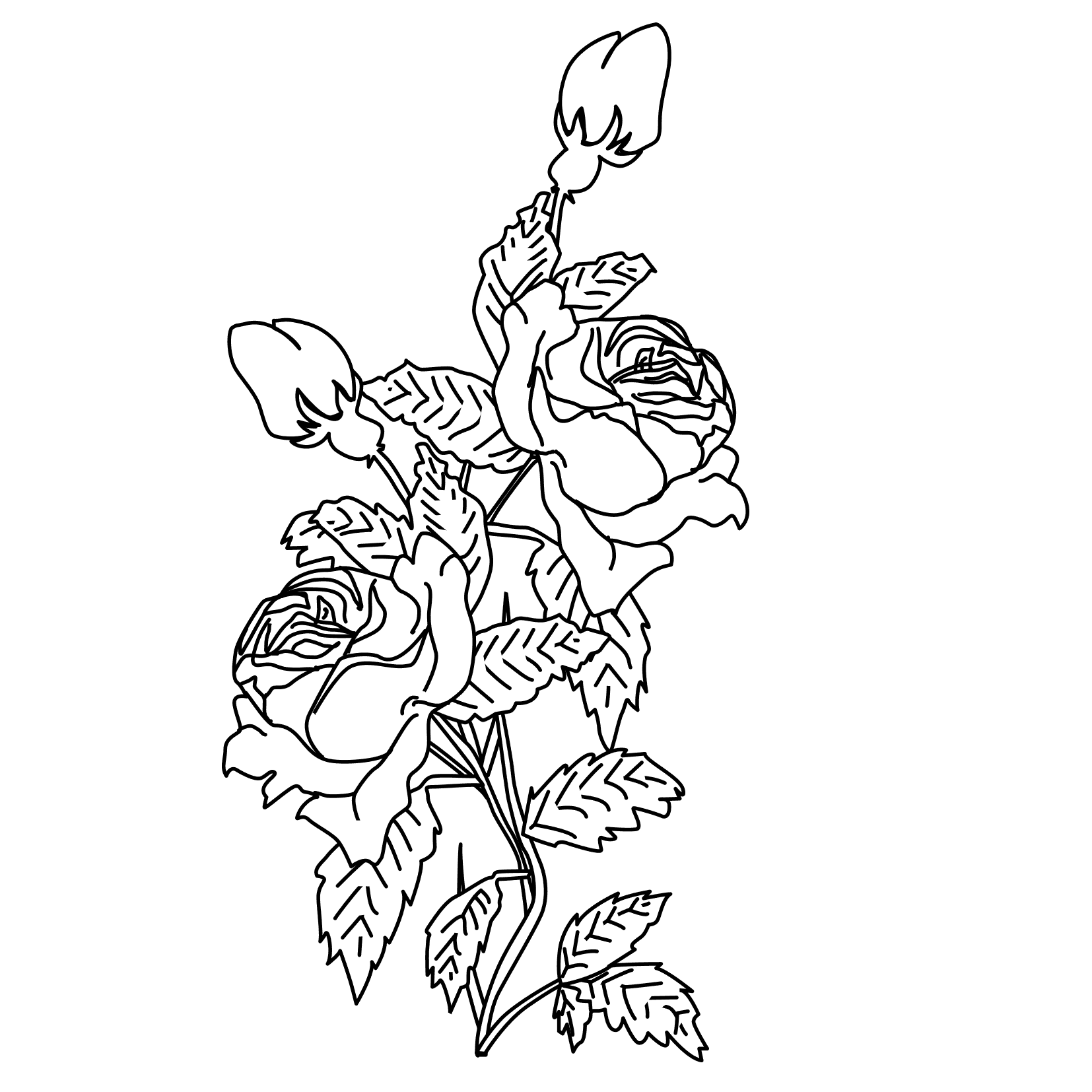 着色页: 玫瑰 (自然) #162066 - 免费可打印着色页