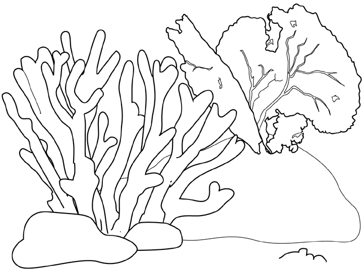 着色页: 海底 (自然) #160193 - 免费可打印着色页