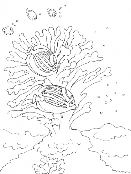 着色页: 海底 (自然) #160248 - 免费可打印着色页